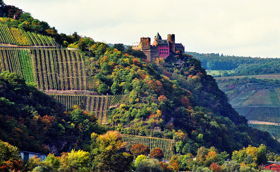 德國(guó)(圖2) 德 2.1.jpg